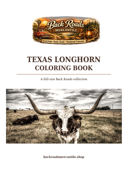Back Roads Texas Longhorn Coloring Book cover