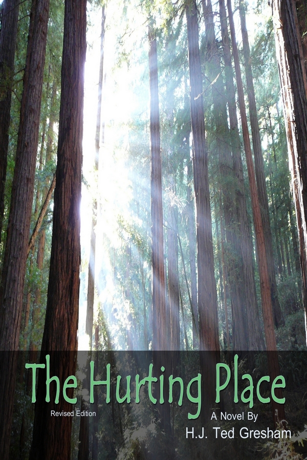 Cover of The Hurting Place by H.J. Ted Gresham