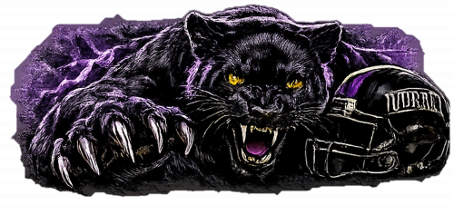 Lufkin Panthers Panther Helmet design