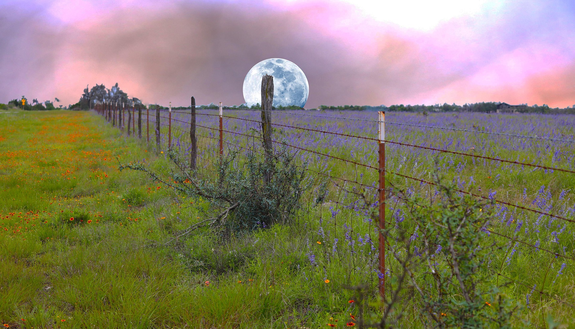 Fence line across open Texas land