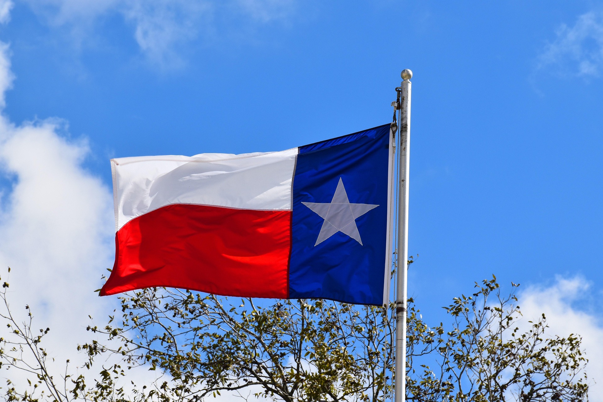 Texas flag painted on weathered wood